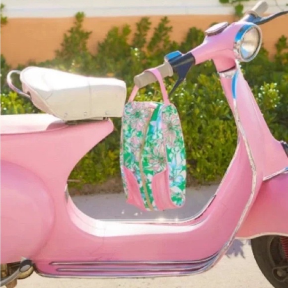 NWT/ NIP Lilly Pulitzer shoe bag, spearmint blossom views sz 7.25x 12L x 4.5 D - Picture 2 of 16